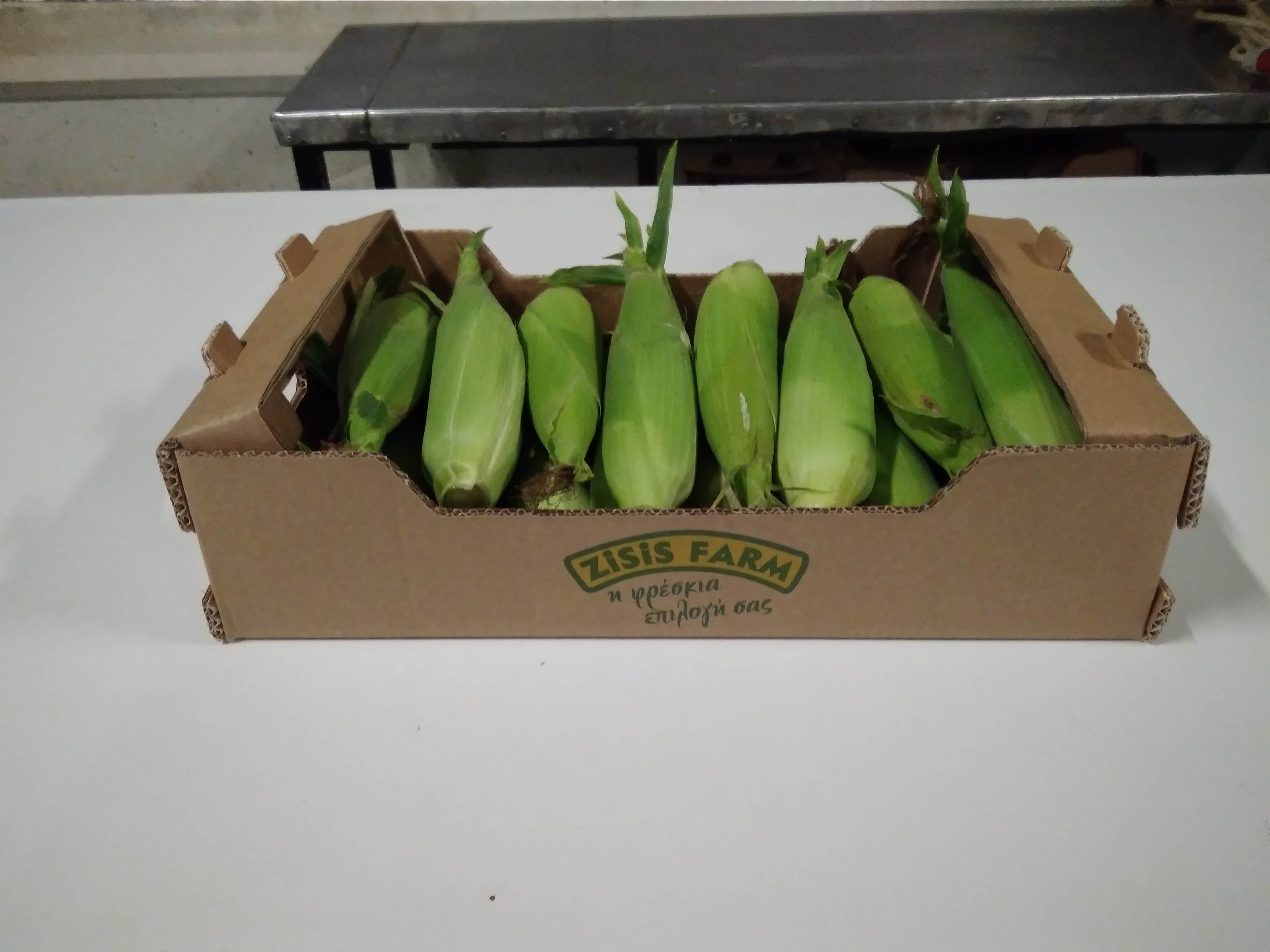 FRESH SWEET CORN  COB