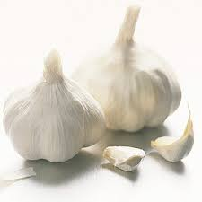 Garlic Garlic