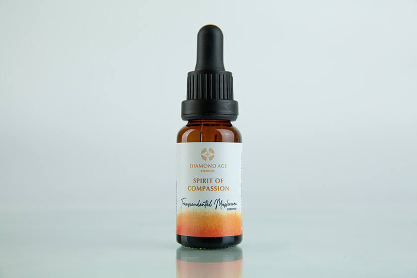 Spirit of compassion