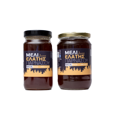 Μέλι Ελάτης