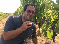 Company user Avatar - 2197