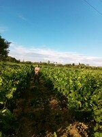 DIMITRIOS LEONTARITIS