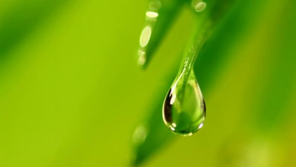 ISO 14001:2015 ΣΥΣΤΗΜΑ ΠΕΡΙΒΑΛΛΟΝΤΙΚΗΣ ΔΙΑΧΕΙΡΙΣΗΣ