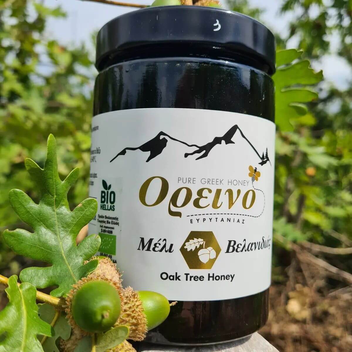 Βιολογικό Μέλι Βελανιδιάς Ευρυτανίας Βιολογικό Μέλι Βελανιδιάς Ευρυτανίας