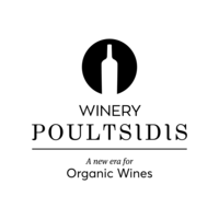 Company user Avatar - 6782