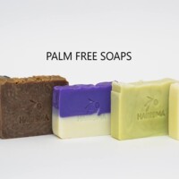 HARISMA SOAP Logo