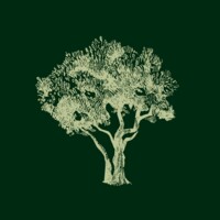 NATURE BLESSED Logo