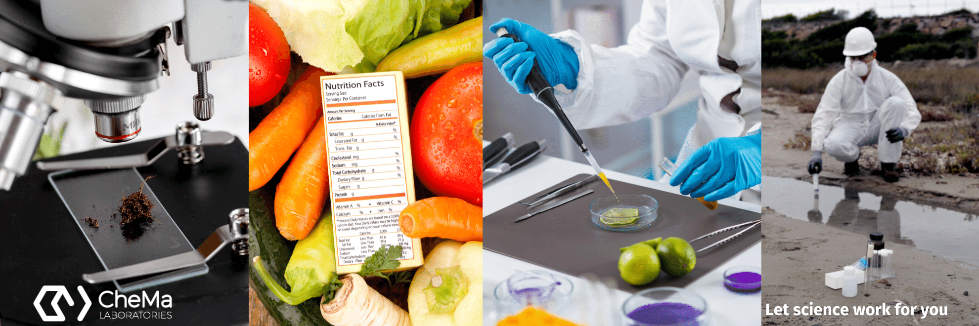 Analytical services / Laboratory