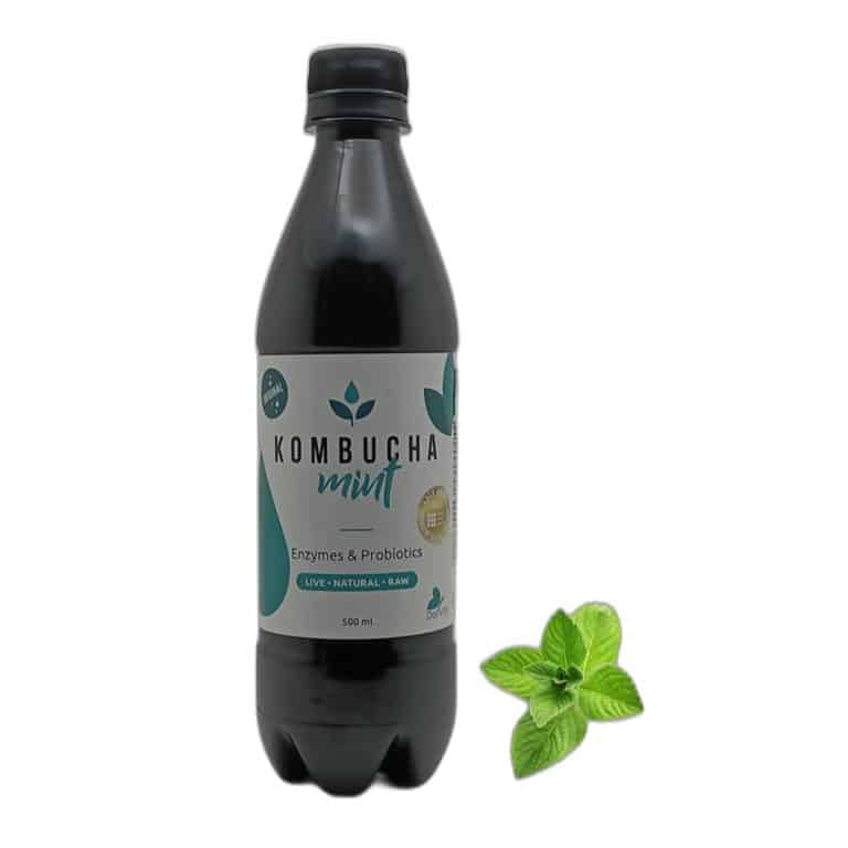KOMBUCHA 0.5L WITH MINT FLAVOR