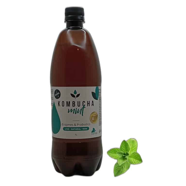 KOMBUCHA 1 L WITH MINT FLAVOR