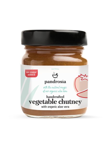 Πικάντικη σάλτσα λαχανικών με αλόη Πικάντικη σάλτσα λαχανικών με αλόη