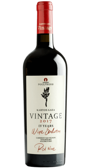 ΚΑΡΥΟΣ ΓΗ VINTAGE