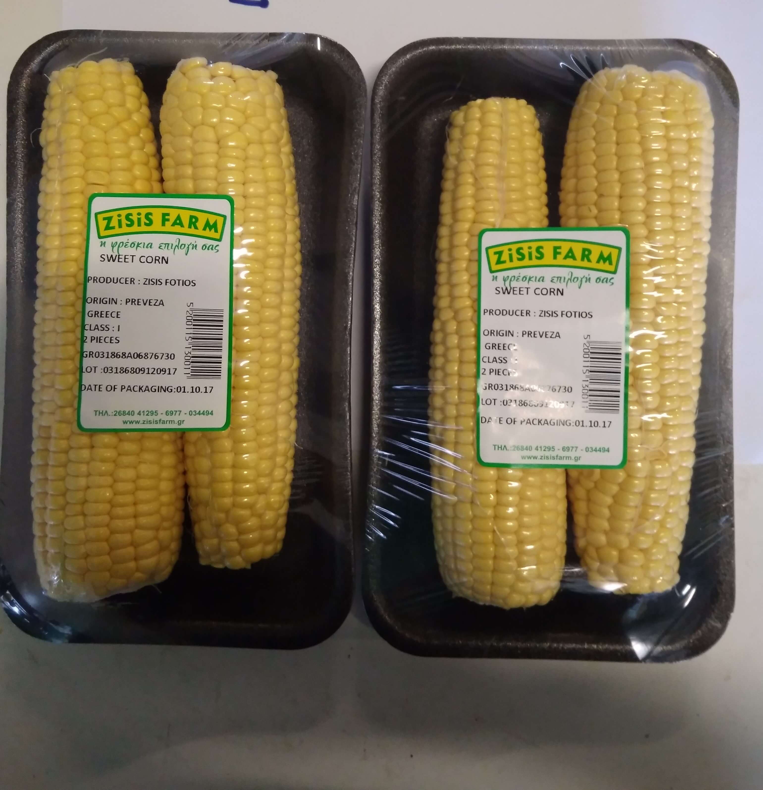 FRESH SWEET CORN
