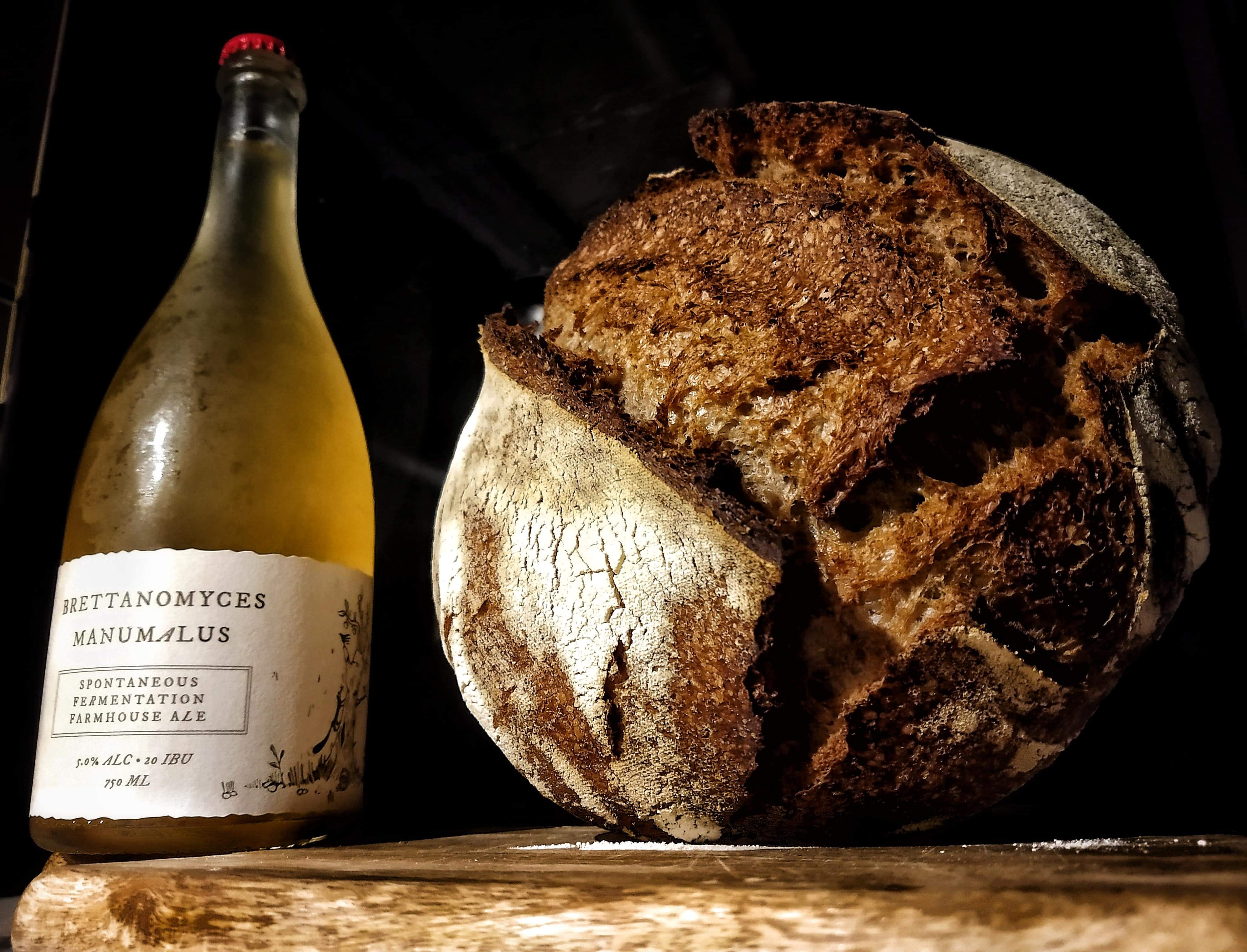 Brettanomyces Manumalus Wild Ale