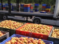 Company user Avatar - 6551