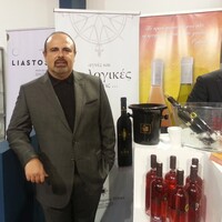 Company user Avatar - 237