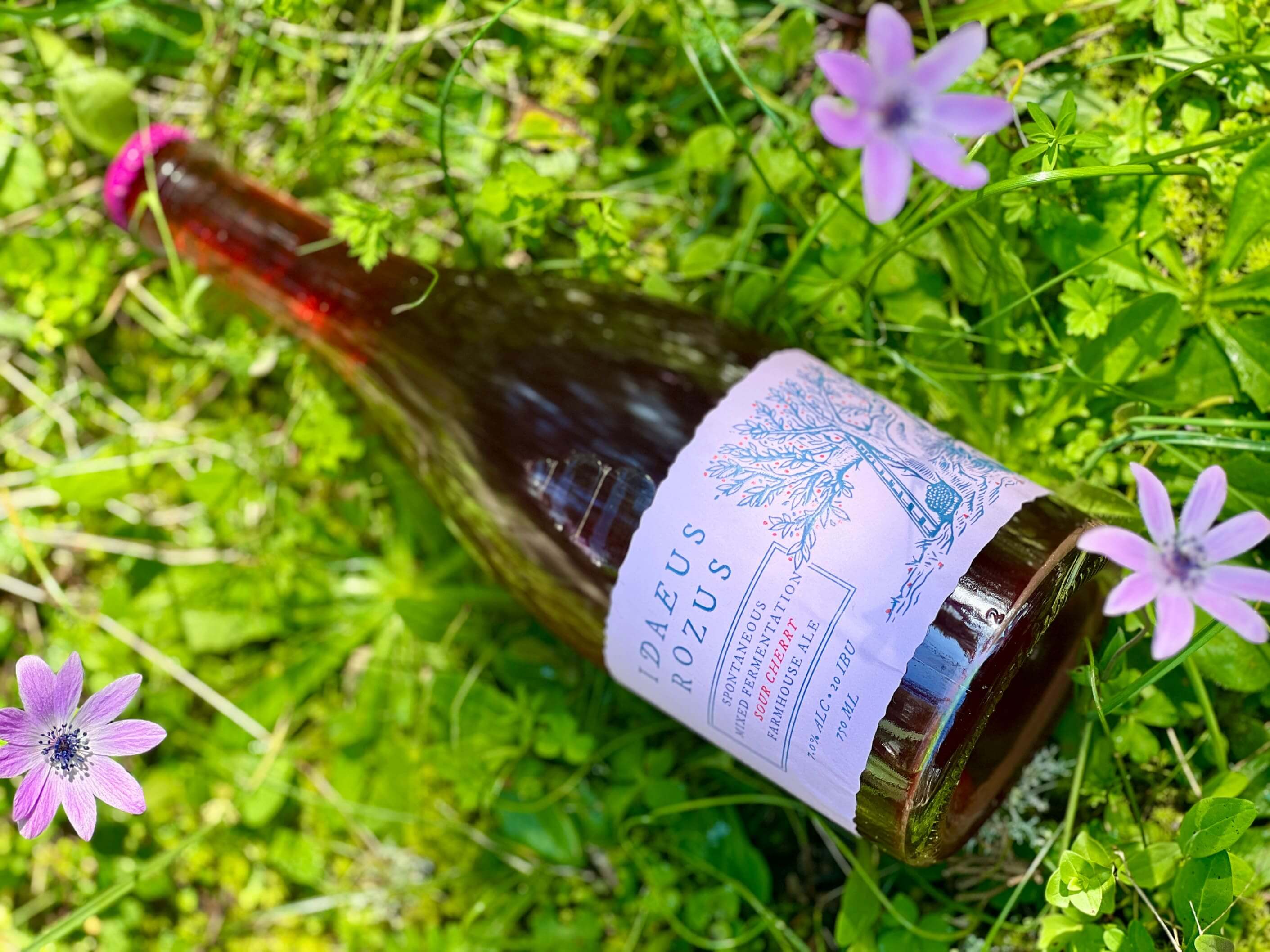 Idaeus Rozus Wild Ale