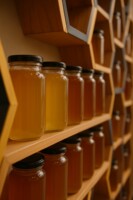 Company user Avatar - 7804