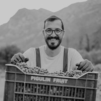 ΑΛΕΞΑΝΔΡΟΣ ΜΑΡΚΑΤΣΕΛΗΣ