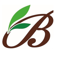 ΘΑΝΑΣΗΣ   ΜΠΕΛΛΟΣ