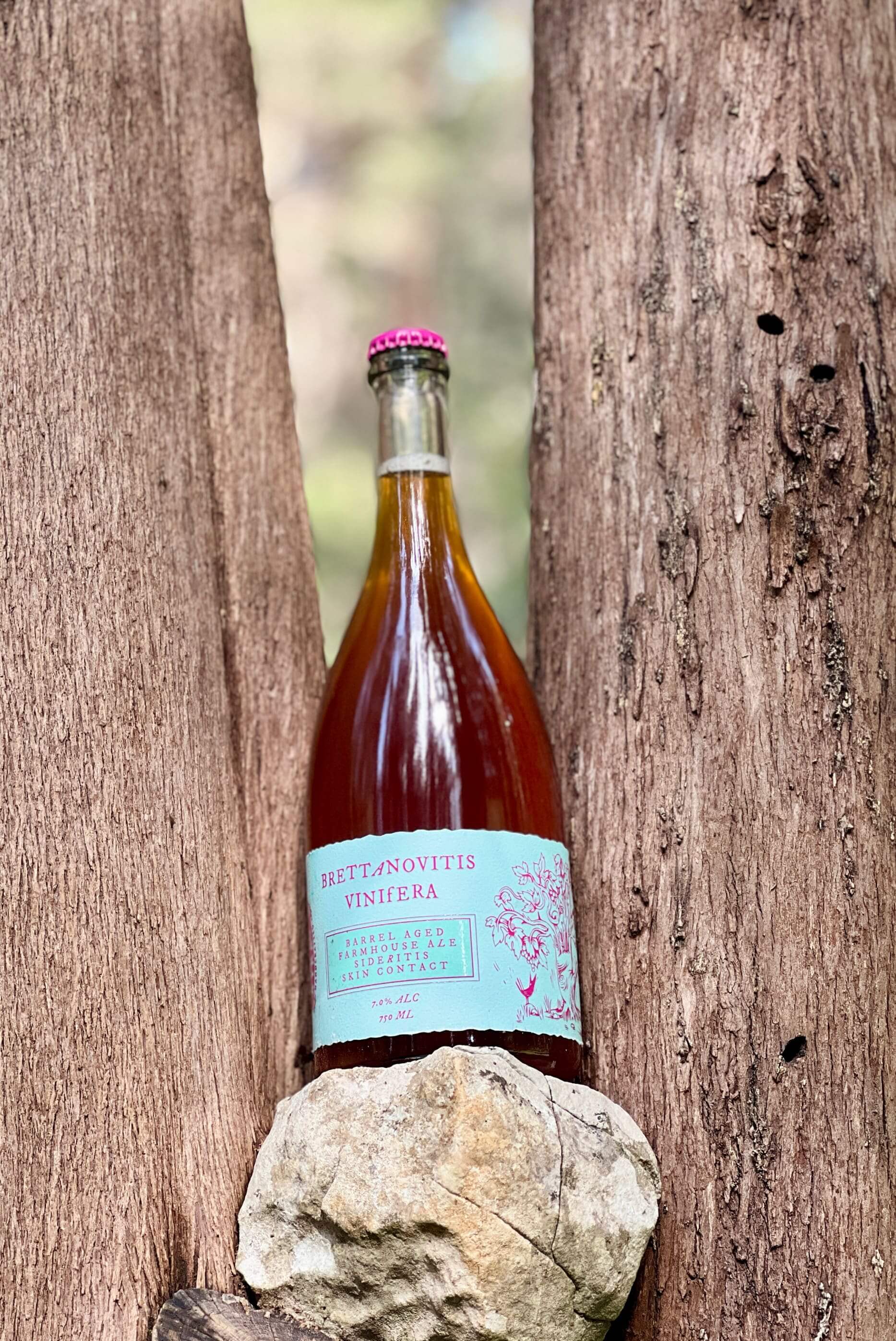 Brettaovitis Vinifera Wild Ale