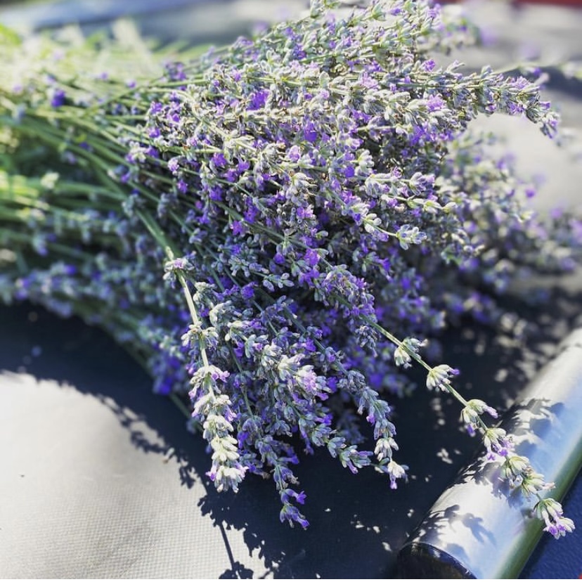 Έλαιο λεβάντας