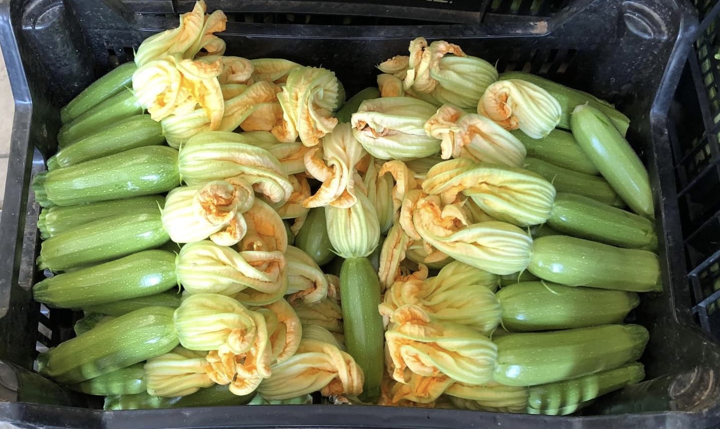COURGETTES