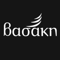 VASAKI Logo