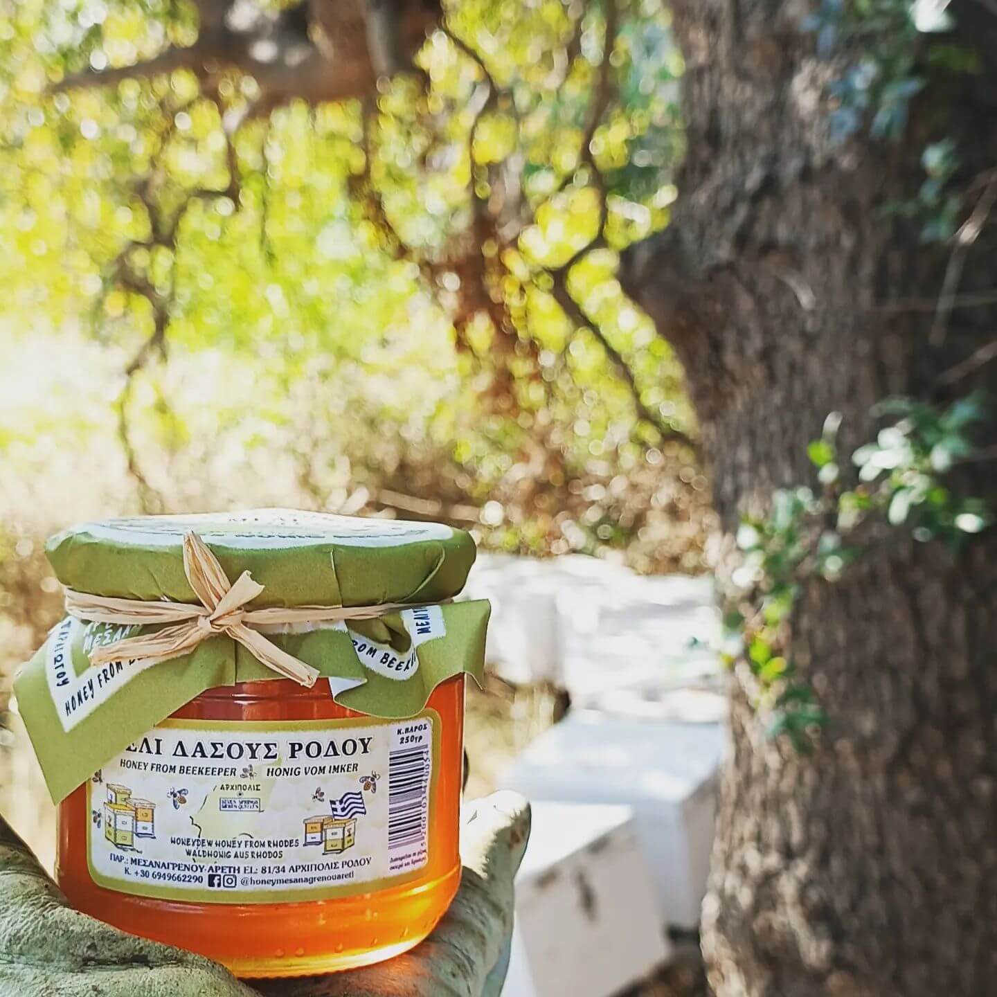 Honey from Beekeeper