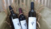 CAVO D’ORO STAVARI WINERY