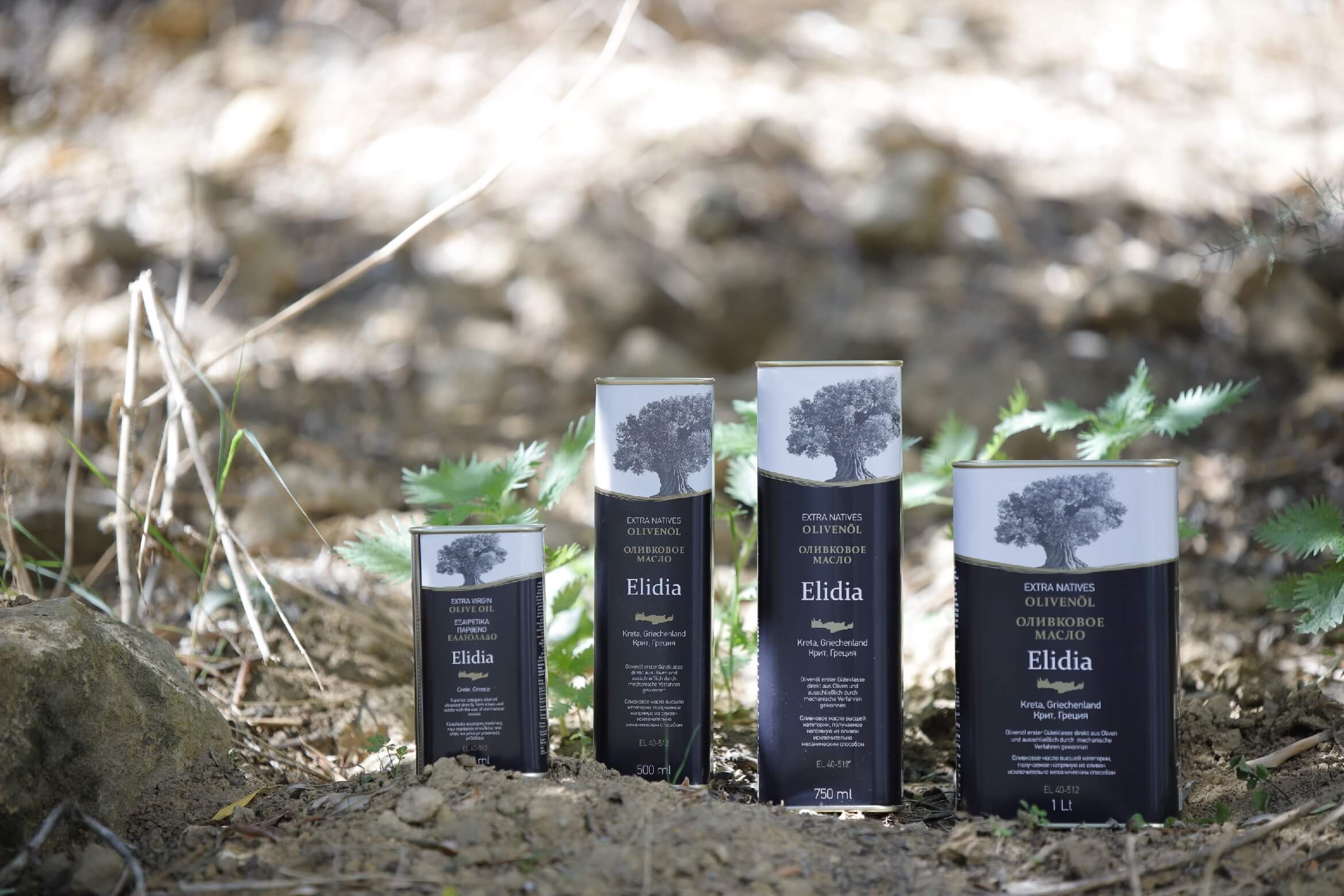 Elidia extra virgin olive oil tin canister series