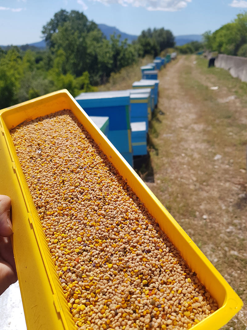 ΒΙΟΛΟΓΙΚΗ ΠΟΛΥΑΝΘΙΚΗ ΓΥΡΗ