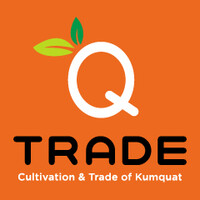 QTRADE Logo