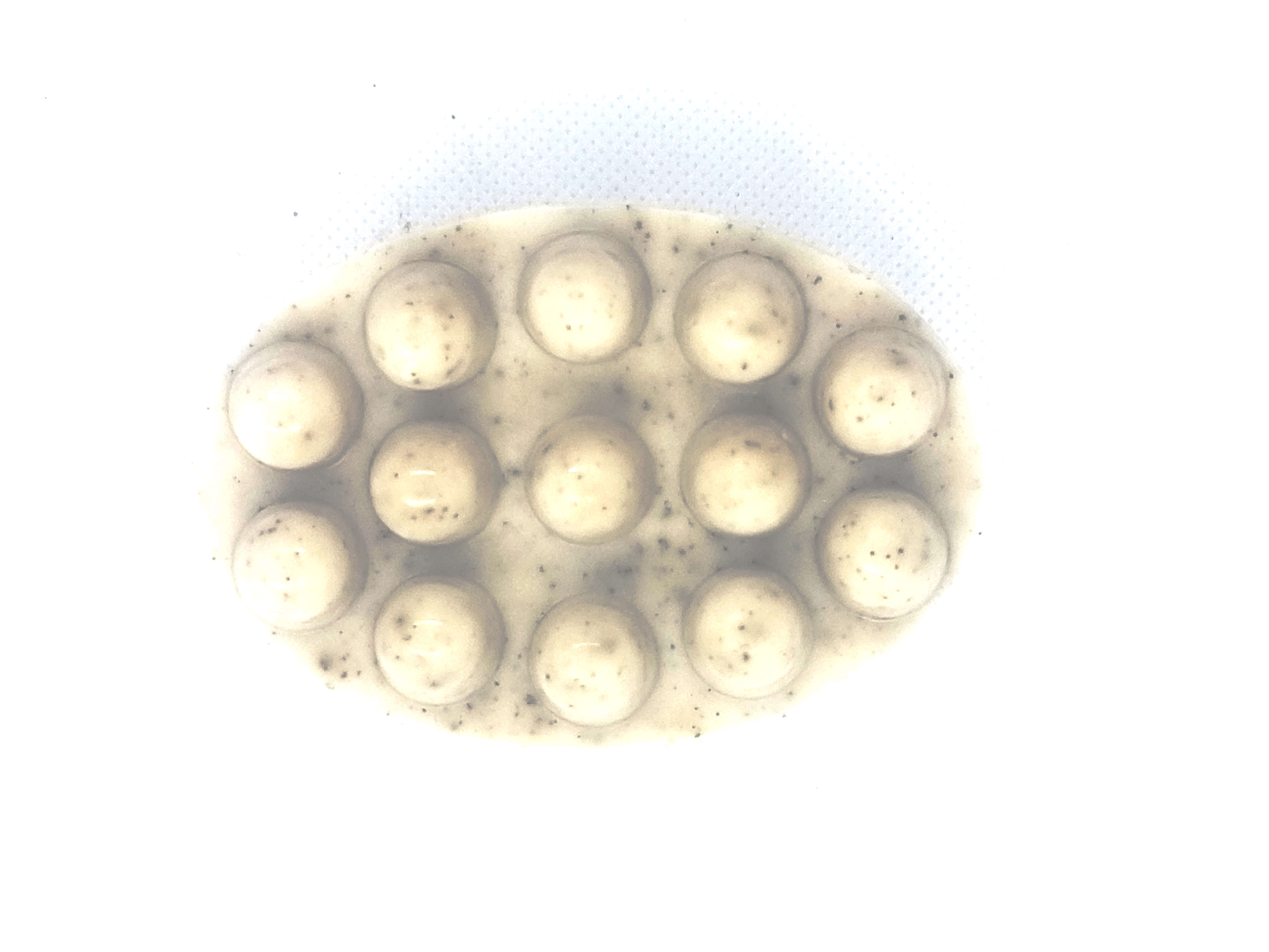 Herbal Glycerin Soap Detoxifying - Slimming with Essential Oils of Cinnamon and Laurel