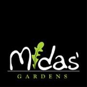 MIDAS GARDEN