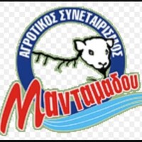 Company Image