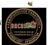 Company user Avatar - 316