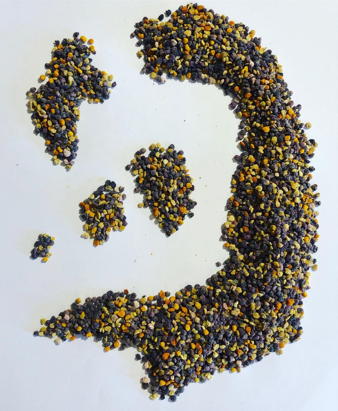 Φρέσκια γύρη ανοιξιάτικης ανθοφορίας.