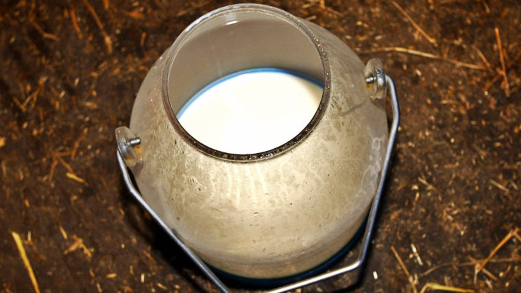 ΑΙΓΟΠΡΟΒΕΙΟ ΓΑΛΑ ΟΡΓΑΝΩΣΗΣ ΠΑΡΑΓΩΓΩΝ Α.K.Σ. ΦΑΡΣΑΛΩΝ