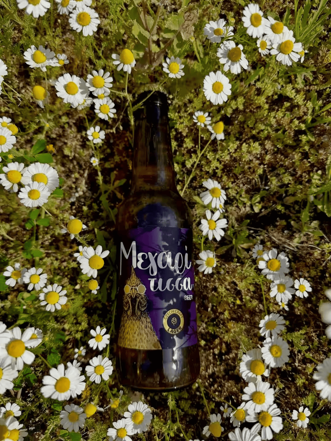 Czech style Lager