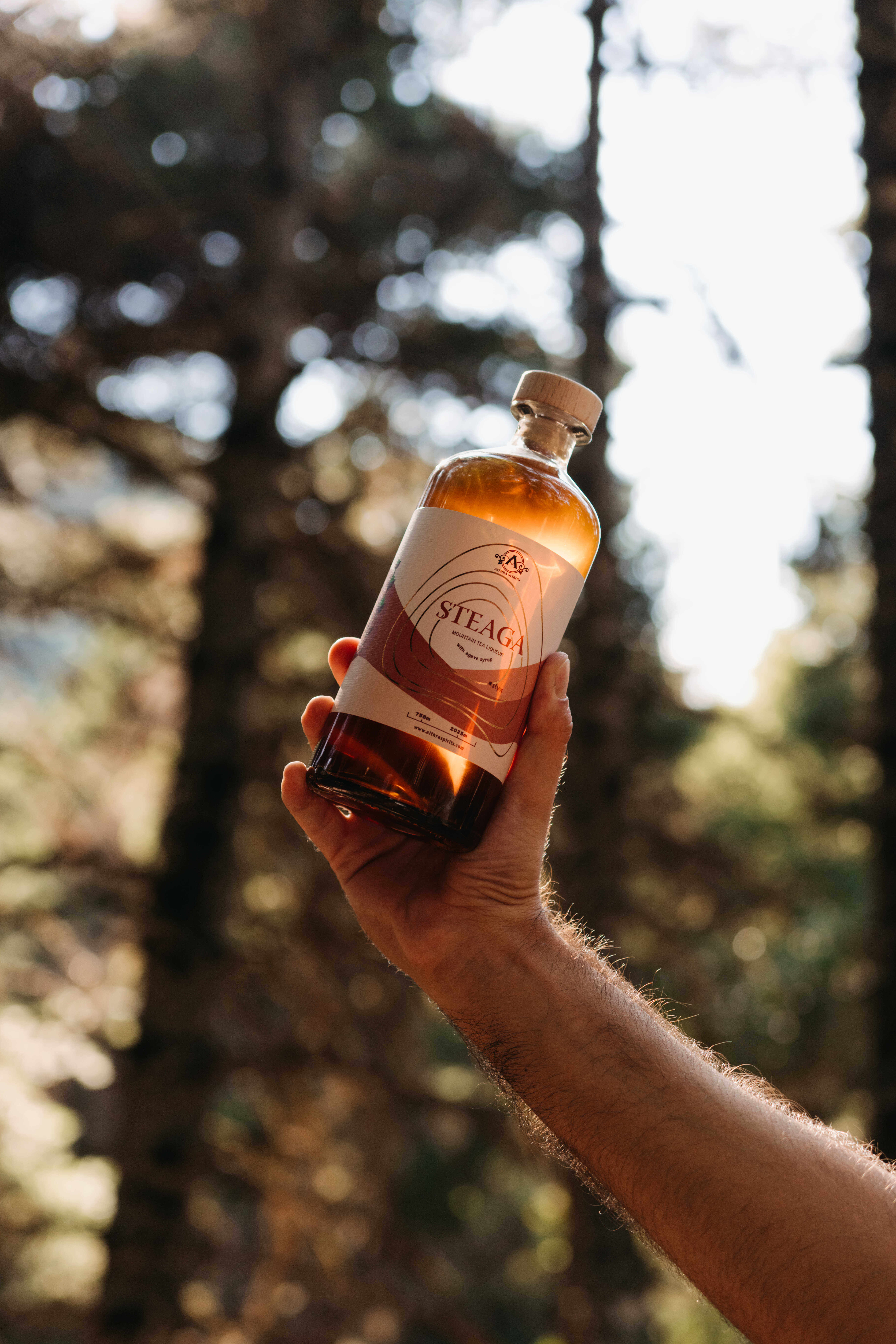 STEAGA Mountain Tea liqueur STEAGA Mountain Tea liqueur