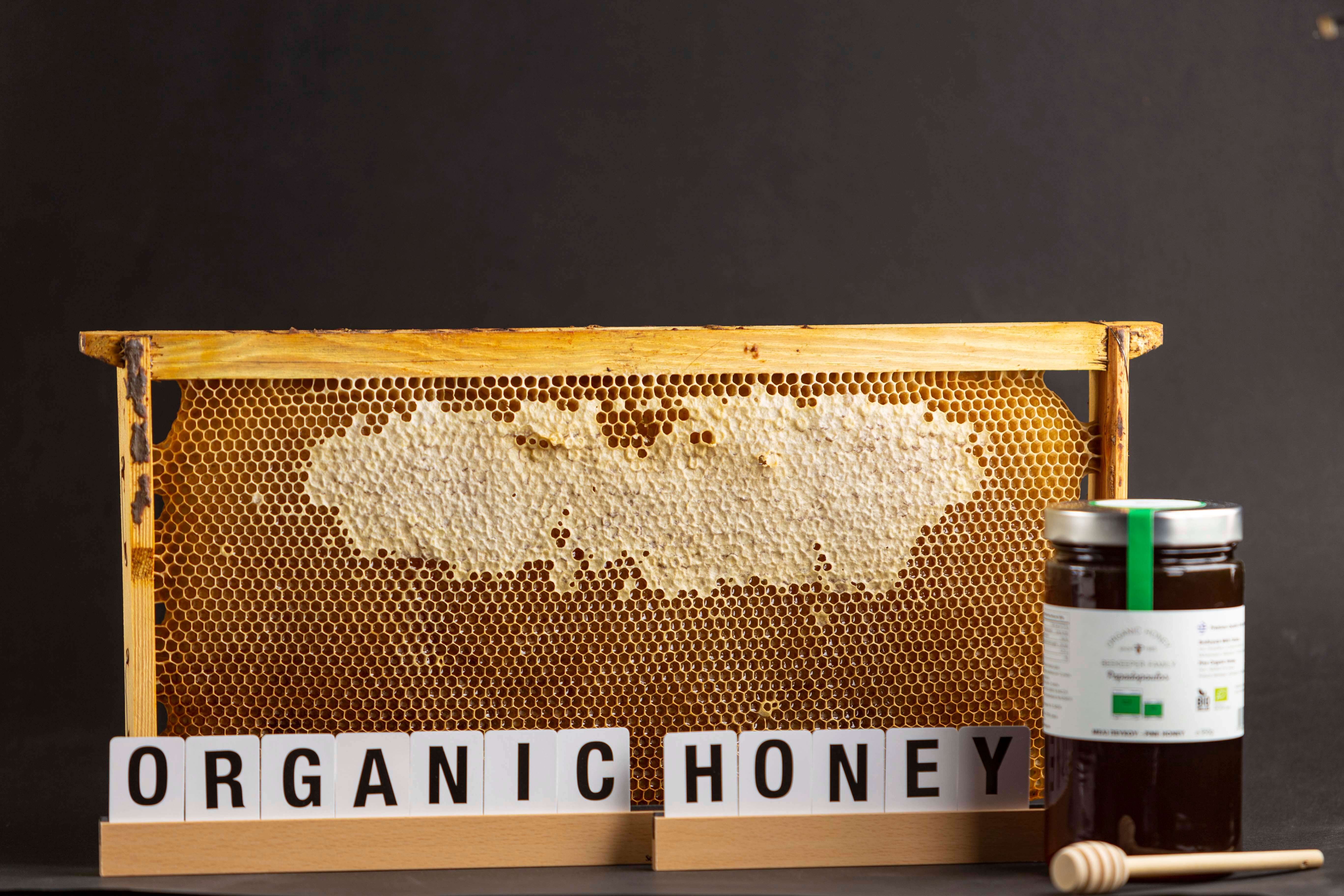 Βιολογική Κηρήθρα σε τελάρο