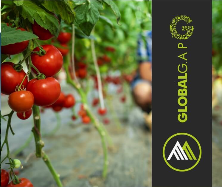 GLOBALGAP