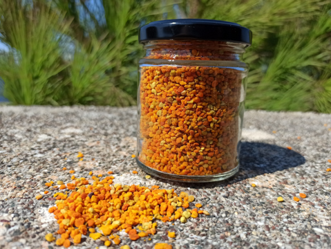 Πολυανθική Νωπή Γύρη