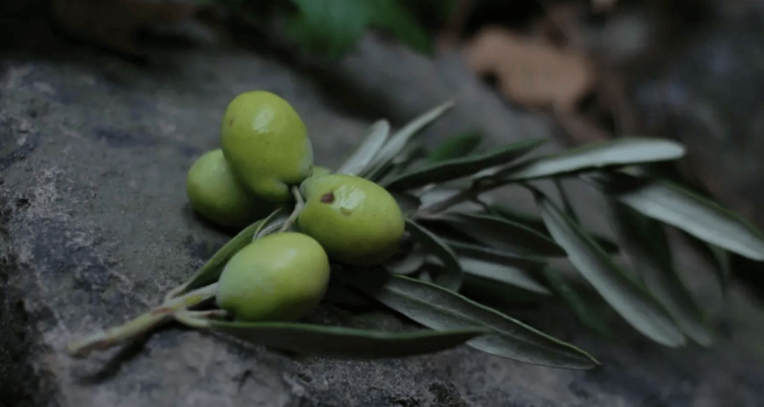 Olives