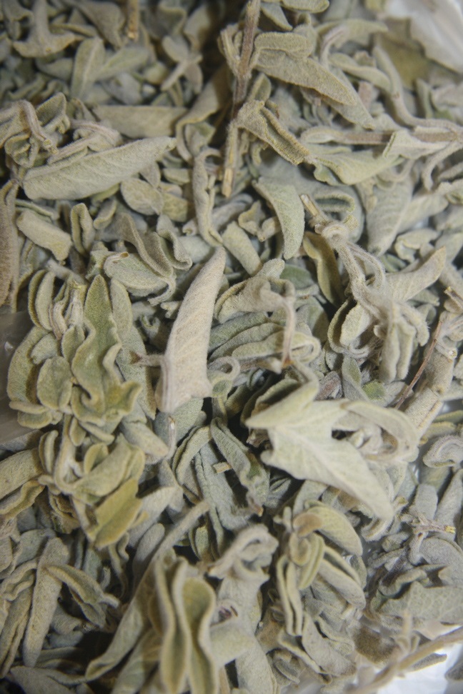 Φασκόμηλο Κρήτης