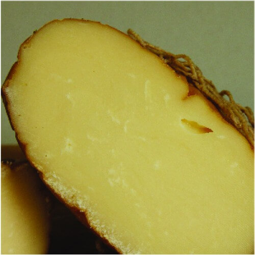 Παρχαροτύρ