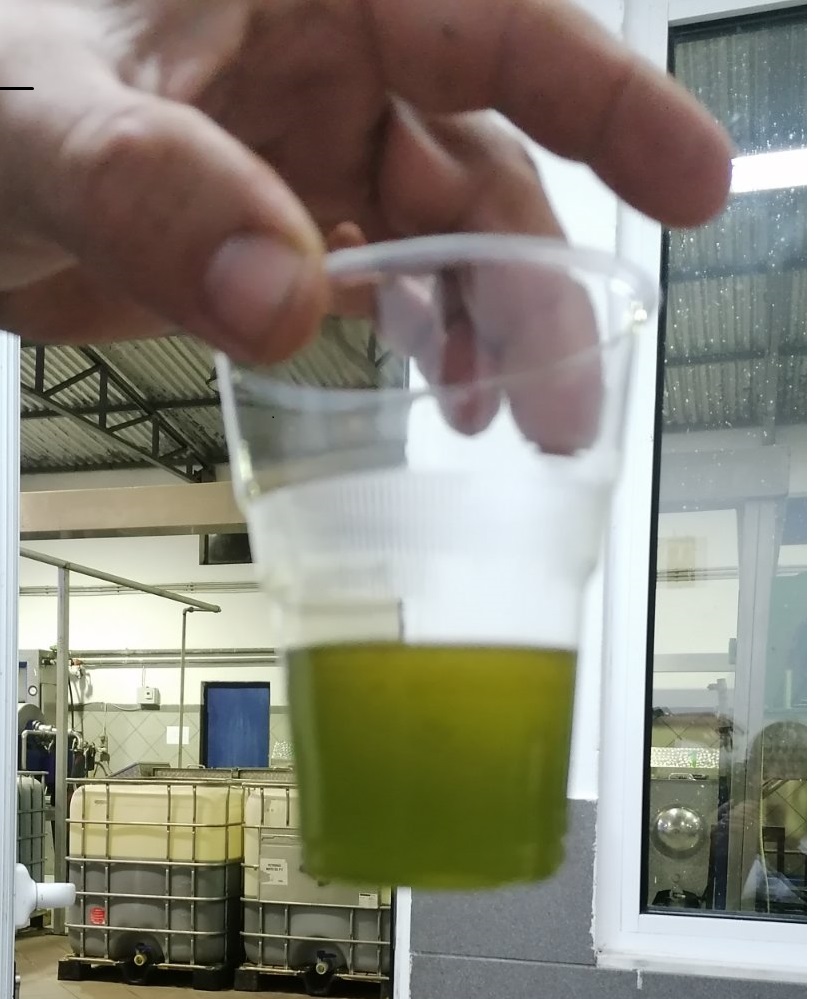 Εξτρα Παρθένο Ελαιόλαδο