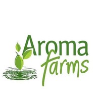 Company user Avatar - 5877