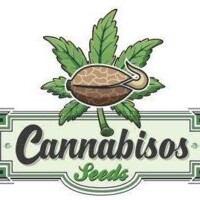 CANNABISOS SEEDS Logo